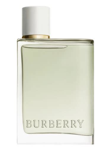 burberry her edt 30ml|burberry her eau toilette 2022.